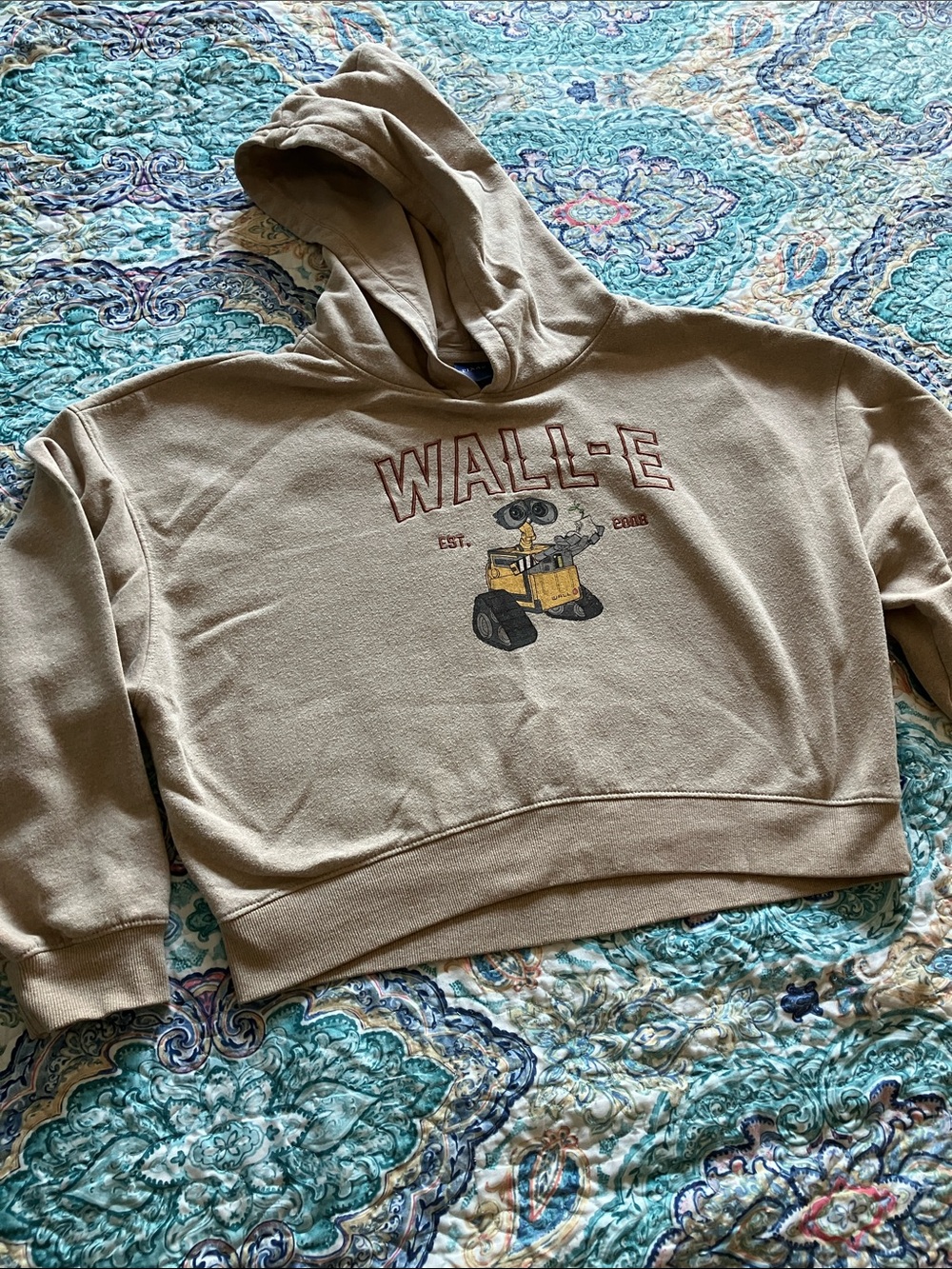 LG Tan WALL•E Graphic  Hoodie Sweater